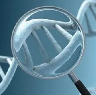 国家政策助力医疗器材创新 电刀笔国产替代进程加速